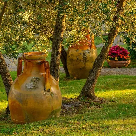 Podere Vigliano Aparthotel